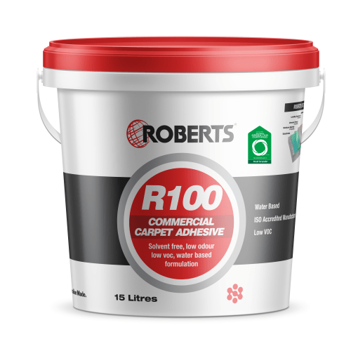 Roberts R100 Product Image